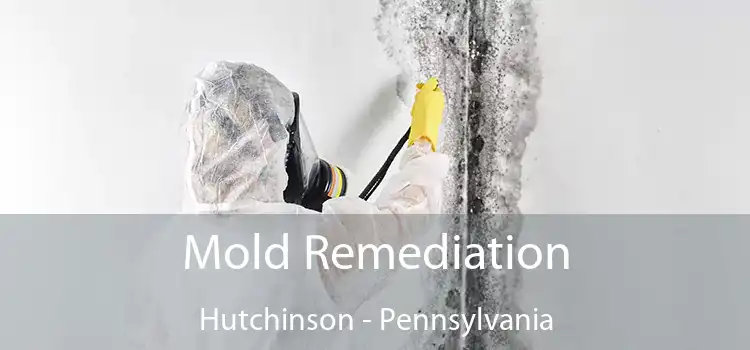 Mold Remediation Hutchinson - Pennsylvania