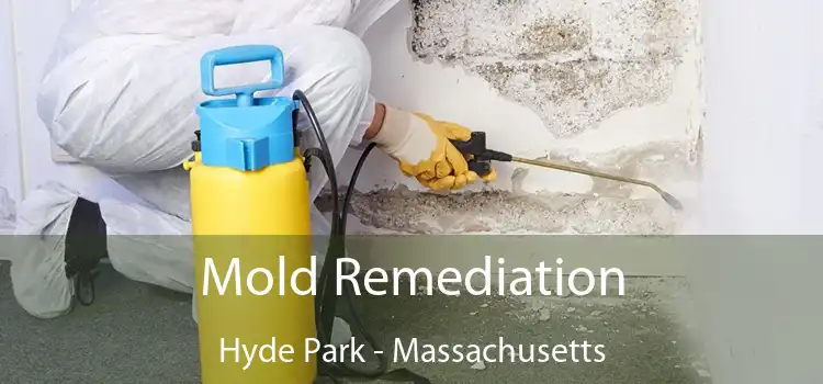 Mold Remediation Hyde Park - Massachusetts