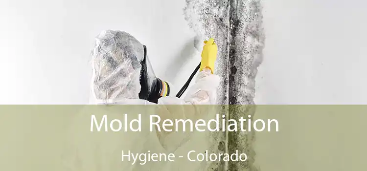 Mold Remediation Hygiene - Colorado