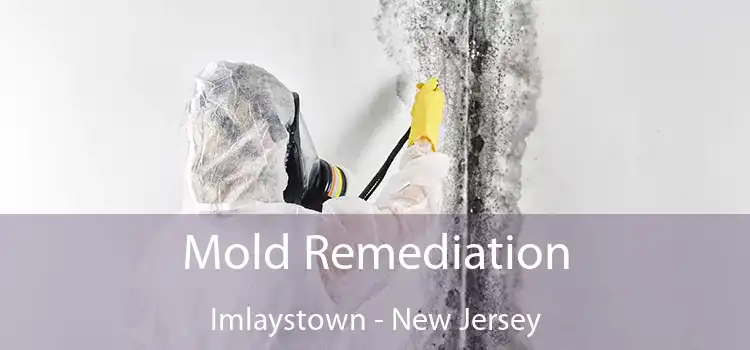 Mold Remediation Imlaystown - New Jersey