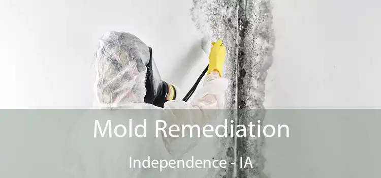 Mold Remediation Independence - IA