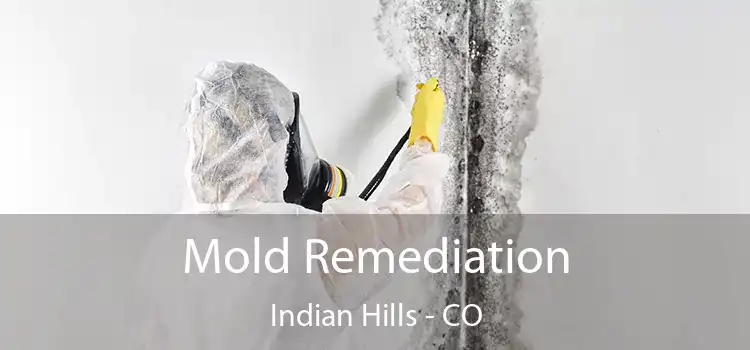 Mold Remediation Indian Hills - CO