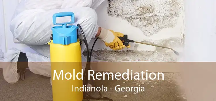 Mold Remediation Indianola - Georgia