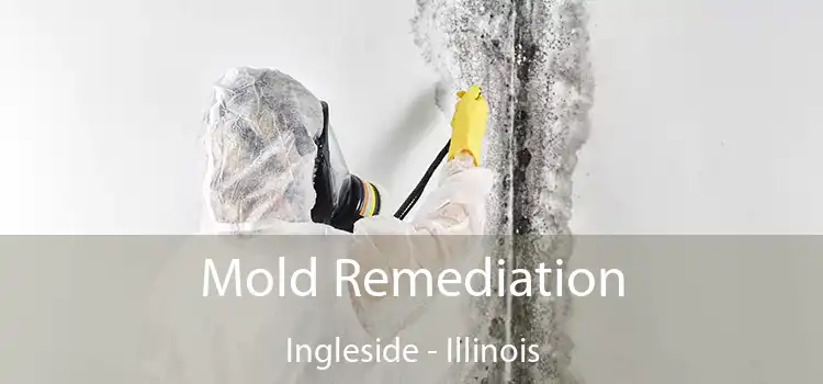 Mold Remediation Ingleside - Illinois