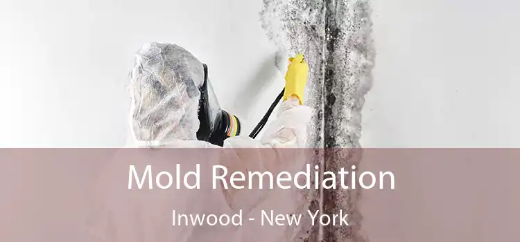 Mold Remediation Inwood - New York