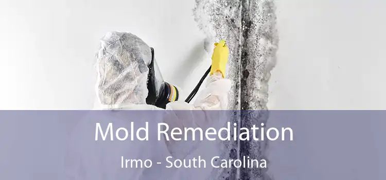 Mold Remediation Irmo - South Carolina