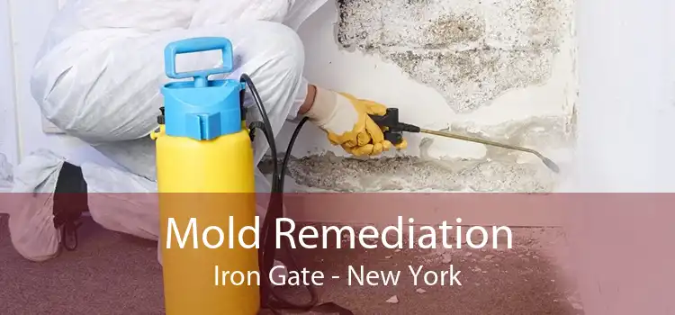 Mold Remediation Iron Gate - New York