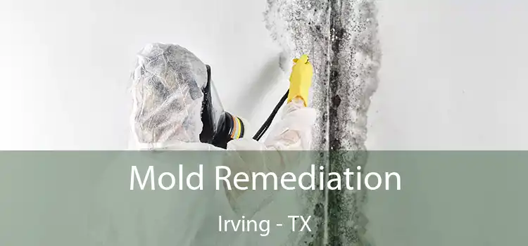 Mold Remediation Irving - TX