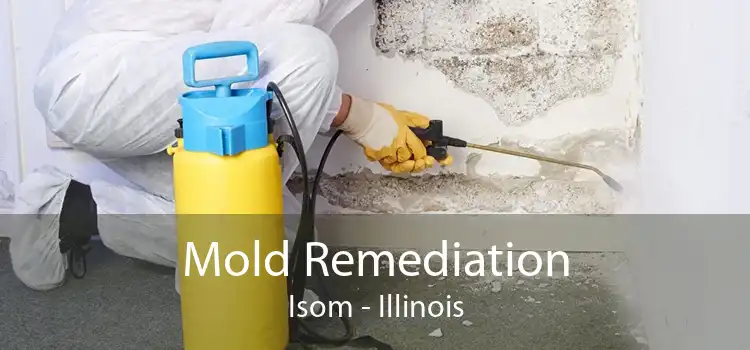 Mold Remediation Isom - Illinois