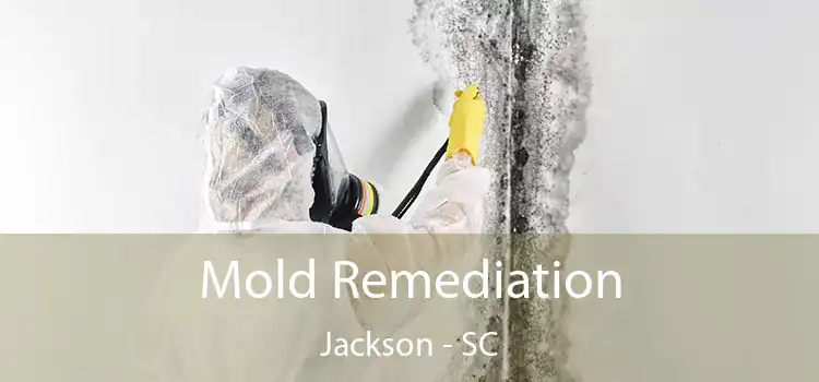 Mold Remediation Jackson - SC