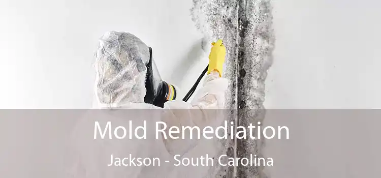 Mold Remediation Jackson - South Carolina