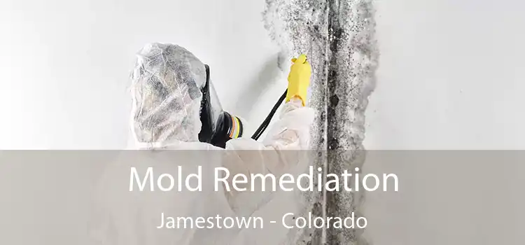 Mold Remediation Jamestown - Colorado