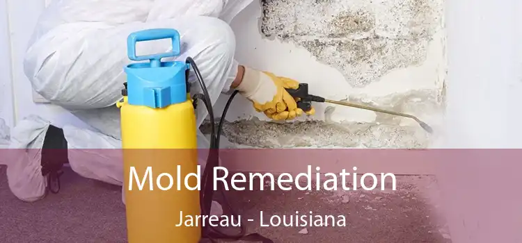 Mold Remediation Jarreau - Louisiana