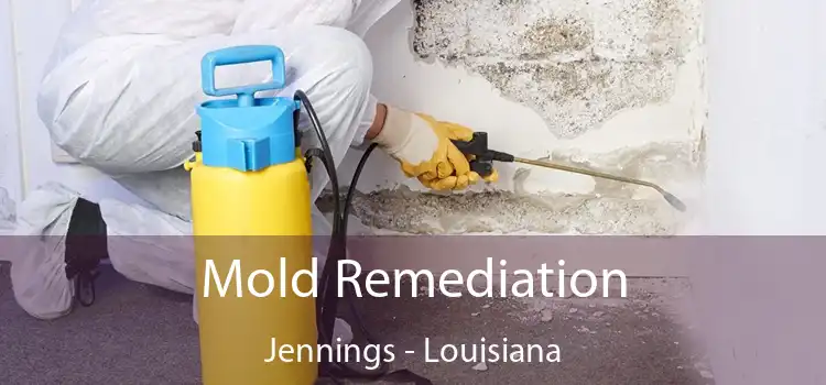 Mold Remediation Jennings - Louisiana