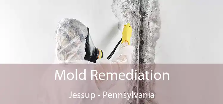 Mold Remediation Jessup - Pennsylvania