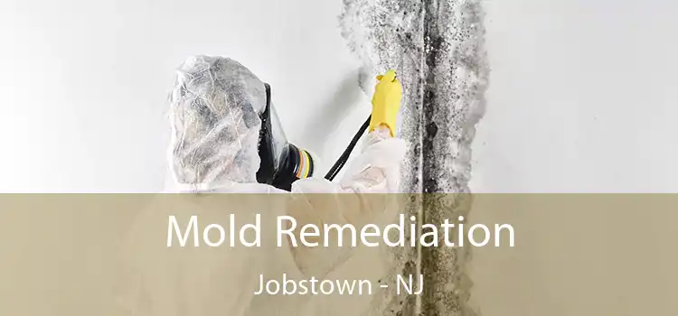 Mold Remediation Jobstown - NJ