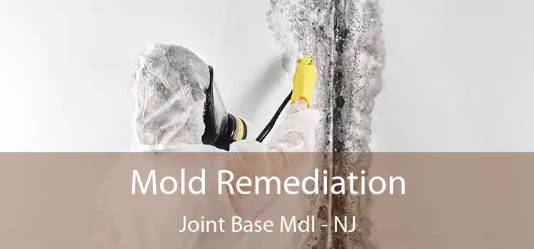 Mold Remediation Joint Base Mdl - NJ