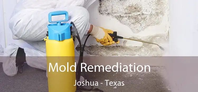 Mold Remediation Joshua - Texas