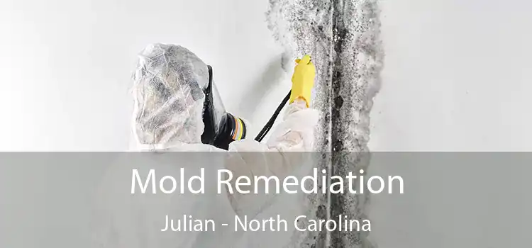 Mold Remediation Julian - North Carolina