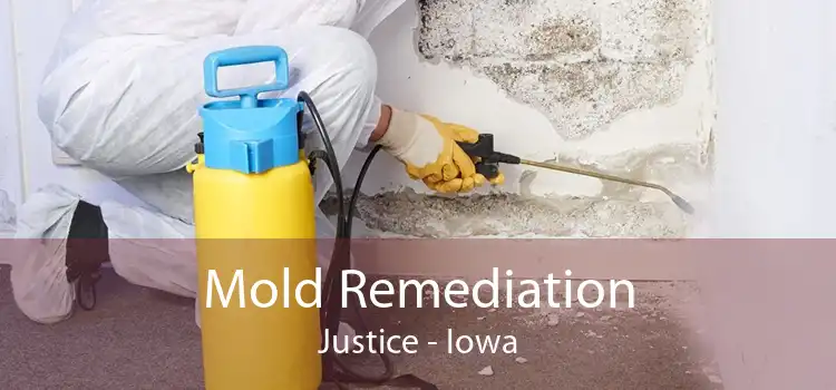 Mold Remediation Justice - Iowa