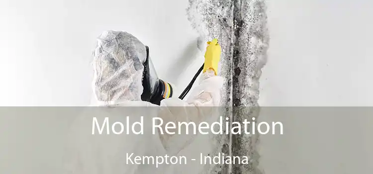 Mold Remediation Kempton - Indiana