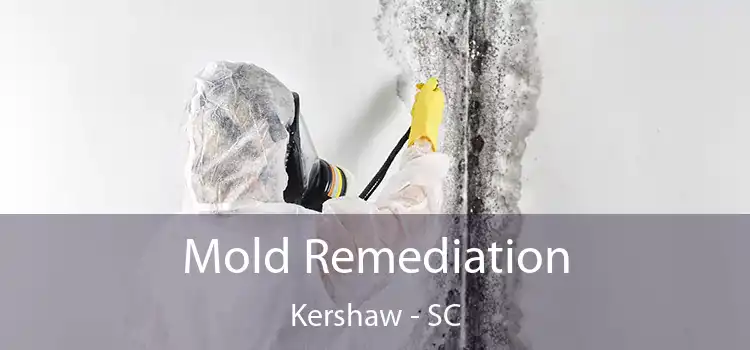 Mold Remediation Kershaw - SC