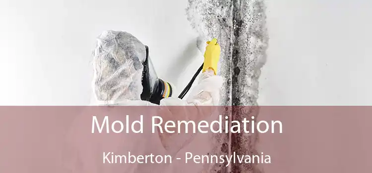 Mold Remediation Kimberton - Pennsylvania