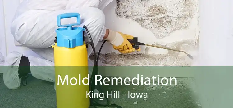 Mold Remediation King Hill - Iowa