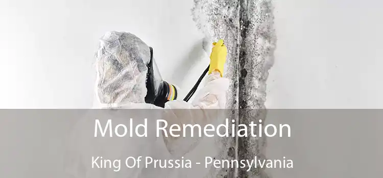 Mold Remediation King Of Prussia - Pennsylvania