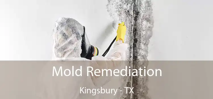 Mold Remediation Kingsbury - TX