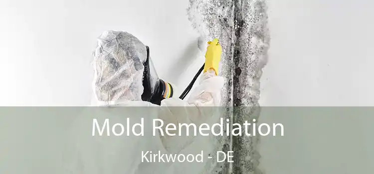 Mold Remediation Kirkwood - DE