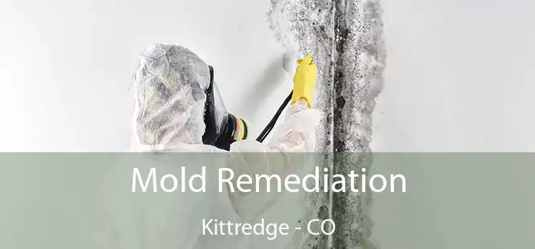 Mold Remediation Kittredge - CO