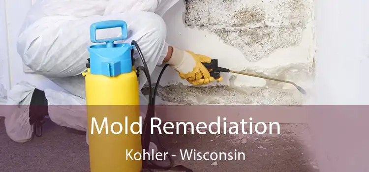 Mold Remediation Kohler - Wisconsin