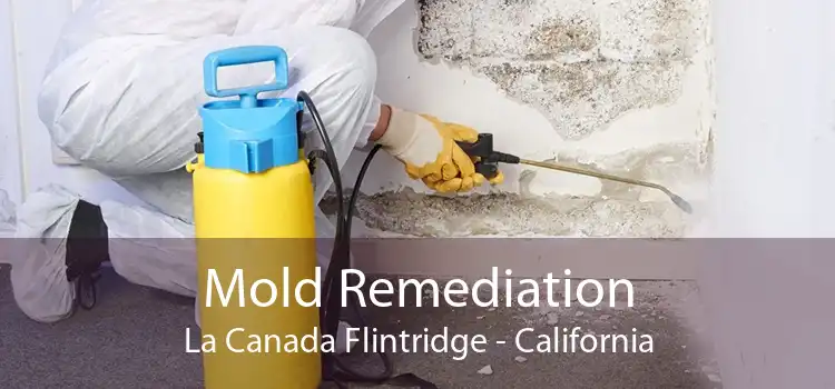 Mold Remediation La Canada Flintridge - California