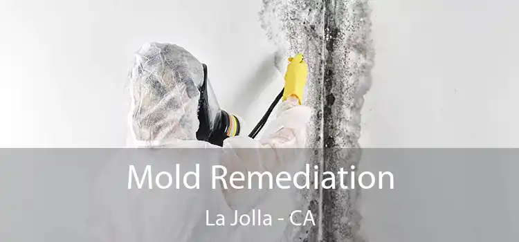 Mold Remediation La Jolla - CA