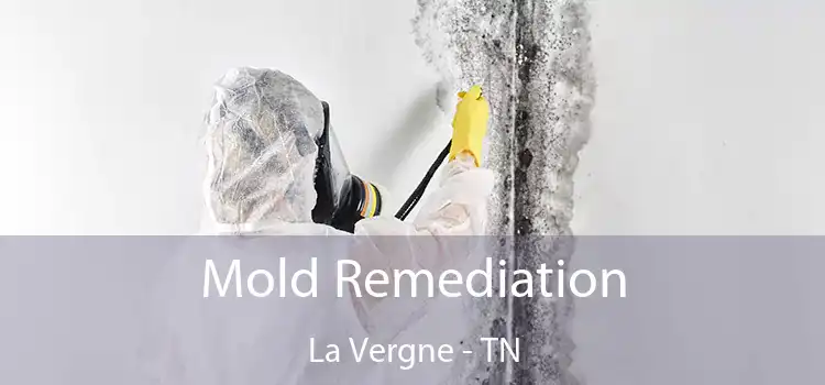 Mold Remediation La Vergne - TN