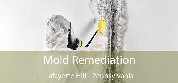 Mold Remediation Lafayette Hill - Pennsylvania