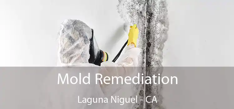 Mold Remediation Laguna Niguel - CA