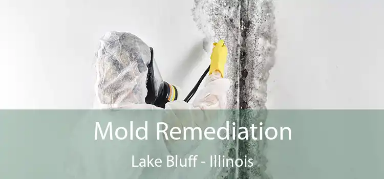 Mold Remediation Lake Bluff - Illinois