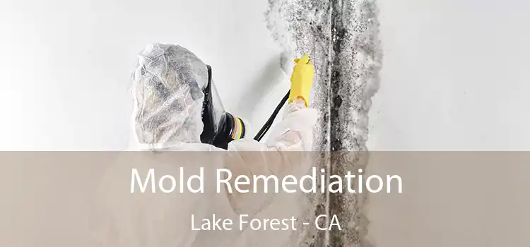 Mold Remediation Lake Forest - CA