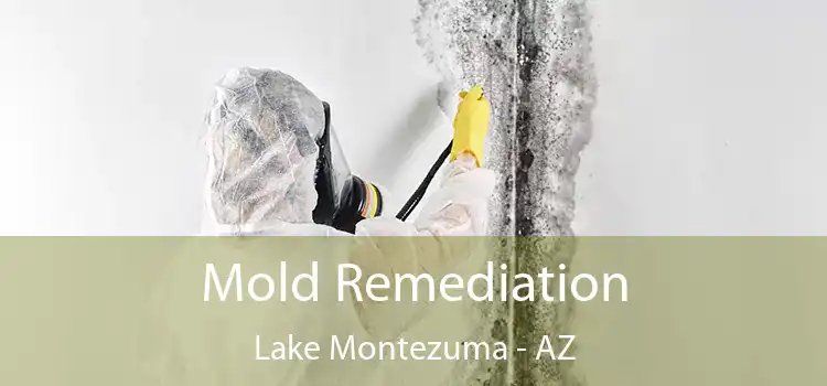 Mold Remediation Lake Montezuma - AZ