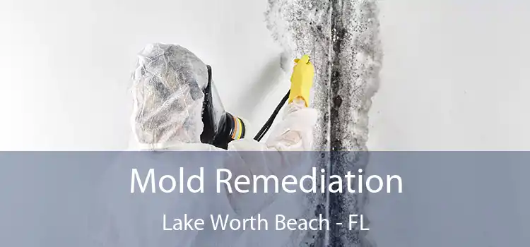 Mold Remediation Lake Worth Beach - FL