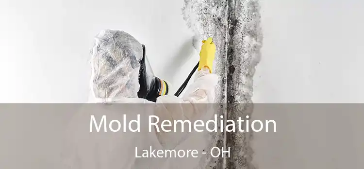 Mold Remediation Lakemore - OH