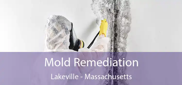 Mold Remediation Lakeville - Massachusetts