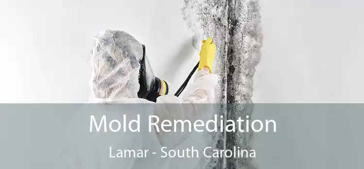 Mold Remediation Lamar - South Carolina