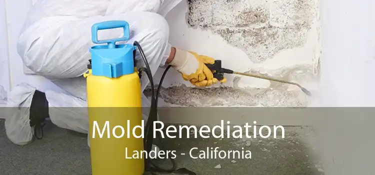 Mold Remediation Landers - California