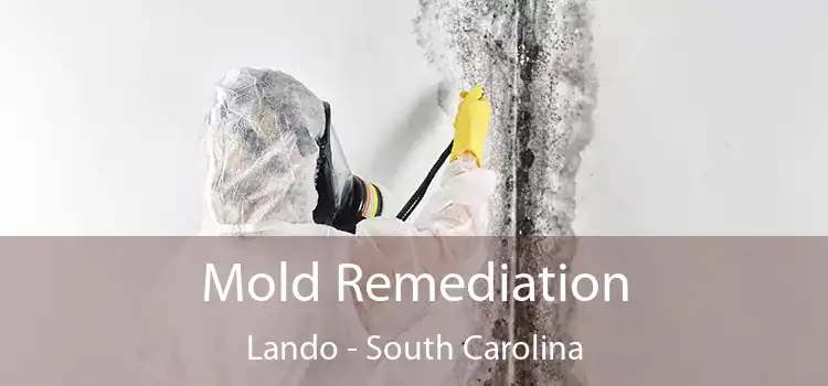 Mold Remediation Lando - South Carolina