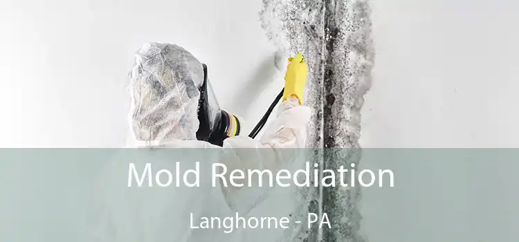 Mold Remediation Langhorne - PA