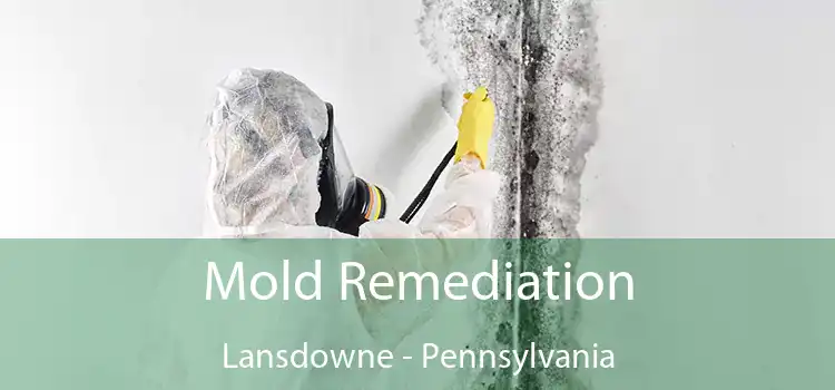 Mold Remediation Lansdowne - Pennsylvania