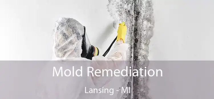 Mold Remediation Lansing - MI